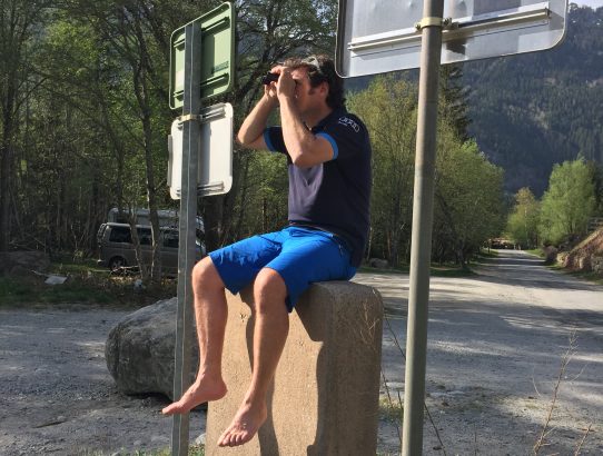 West-Schweiz im Mittelalter