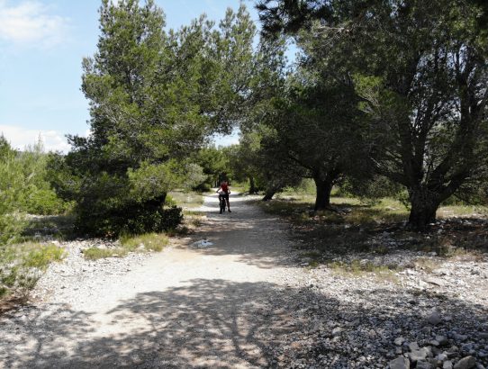Calanques von Cassis
