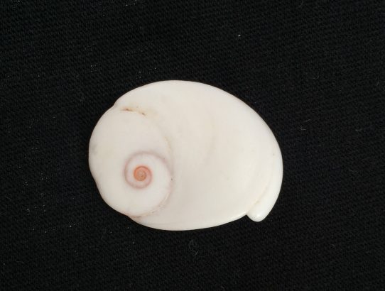 Schatzkammer aus dem Meer