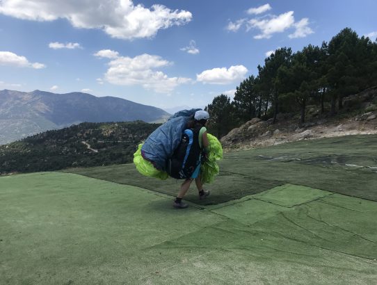 Gliders in Paradise
