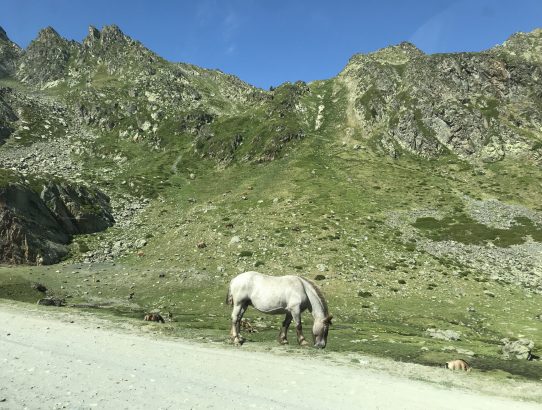 Andorra Bergtour auf den Cataverdis