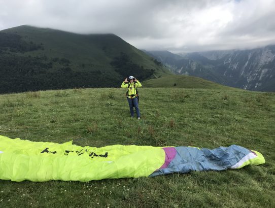 Schmetterling als Passagier in Accous