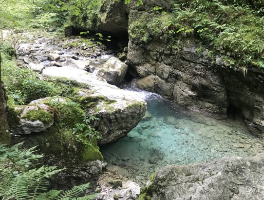 Volle Schlucht, aber nicht voll Wasser