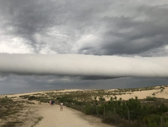 Natur und andere Gewalten am Cap Ferret