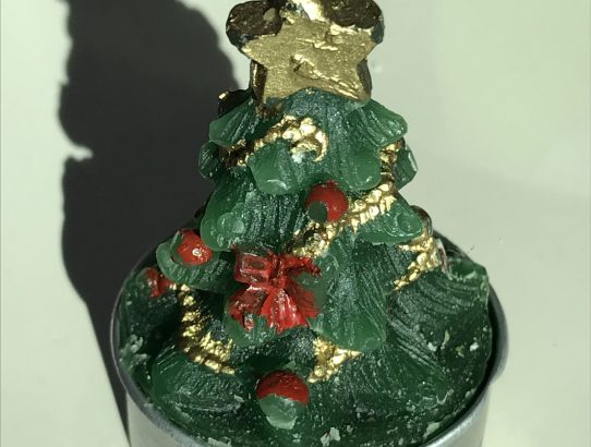 Weihnachtsüberraschung
