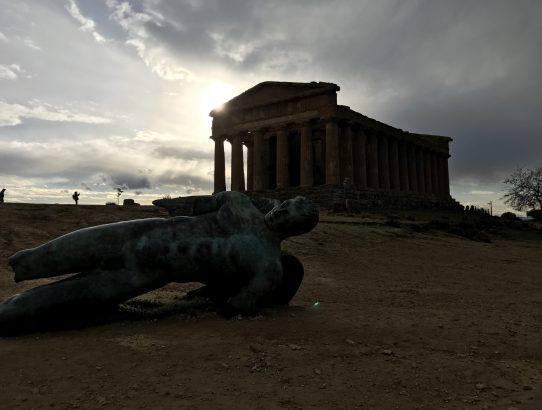 450 opferbereite Ochsen + Kuh und Stier im Valle dei Templi
