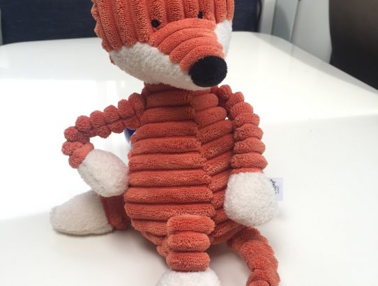 FoxTours mit geheimen Insider-Infos